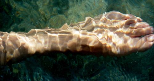 Fotografia de zooperdido - Galeria Fotografica: zooperdido - Foto: aqua								