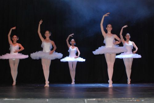 Fotografia de Glavia Photography - Galeria Fotografica: Performances Artisticas - Foto: Como cisnes..