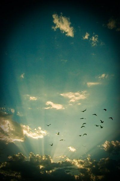 Fotografia de corazn ayleen - Galeria Fotografica: FOTOGRAFIAS  - Foto: 