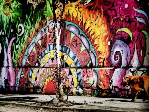 Fotografia de Jeandi Kovaresko - Galeria Fotografica: Valparaiso - Foto: 