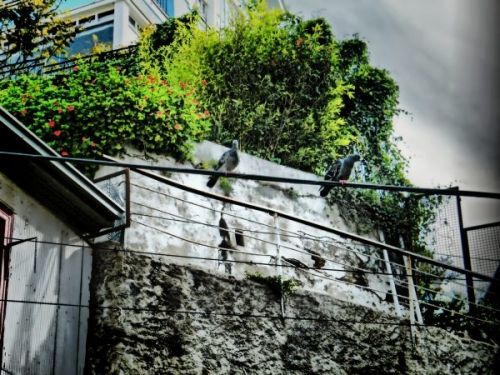 Fotografia de Jeandi Kovaresko - Galeria Fotografica: Valparaiso - Foto: 