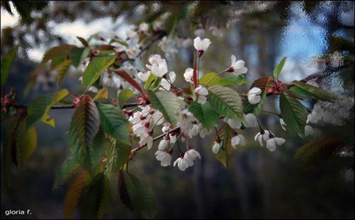 Fotografia de cala gloria - Galeria Fotografica: esbarjo - Foto: 