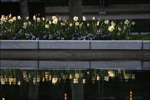 Fotografia de cala gloria - Galeria Fotografica: esbarjo - Foto: 