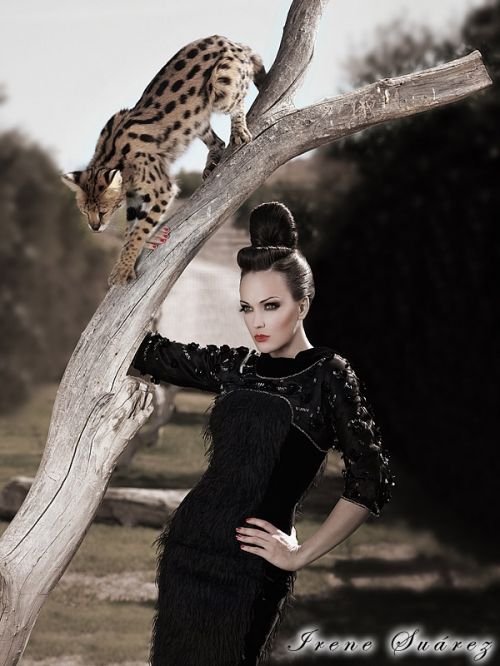 Fotografia de Irene Surez - Galeria Fotografica: book Irene Surez - Foto: 