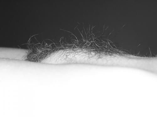 Fotografia de Bruvan - Galeria Fotografica: Principio - Foto: 