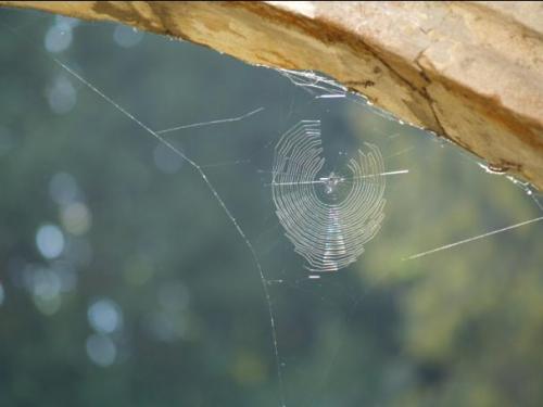 Fotografia de Gabriel Ruiloba - Galeria Fotografica: Comillas - Foto: Araa?