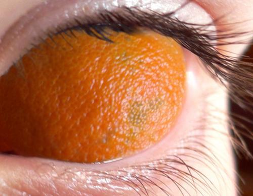 Fotografia de Oriol - Galeria Fotografica: frases fetes visuals - Foto: Tenir els ulls com taronges