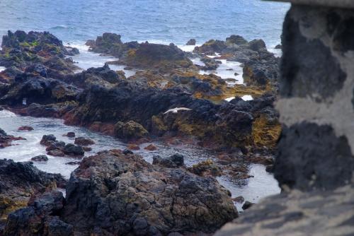 Fotografia de Jaime - Galeria Fotografica: Santa Cruz de Tenerife - Foto: Tenerife