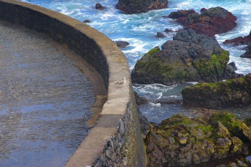 Fotografia de Jaime - Galeria Fotografica: Santa Cruz de Tenerife - Foto: Tenerife						