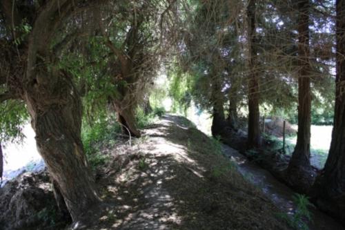 Fotografia de fernando - Galeria Fotografica: naturaleza - Foto: sendero								