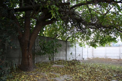 Fotografia de fernando - Galeria Fotografica: naturaleza - Foto: 