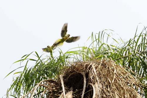 Fotografia de FOTOCICLETA - Galeria Fotografica: FOTOCICLETA - Foto: 