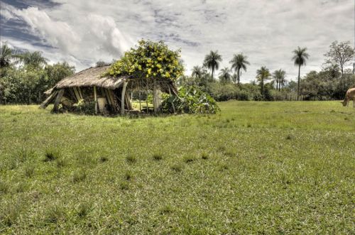 Fotografia de FOTOCICLETA - Galeria Fotografica: FOTOCICLETA - Foto: 