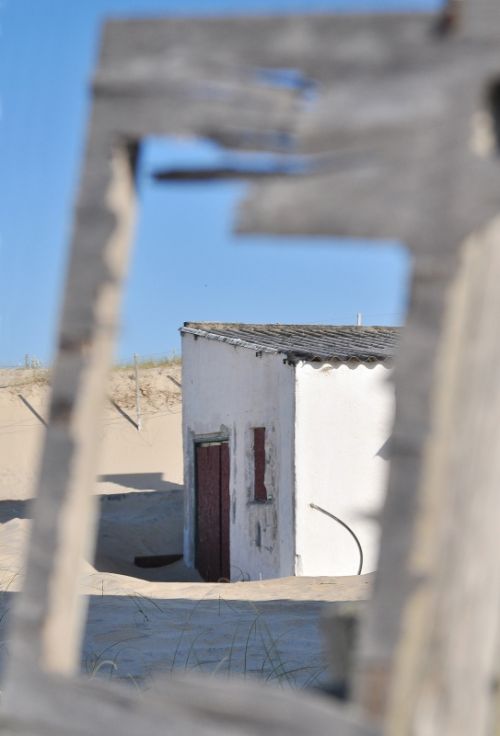 Fotografia de FOTOCICLETA - Galeria Fotografica: FOTOCICLETA - Foto: 