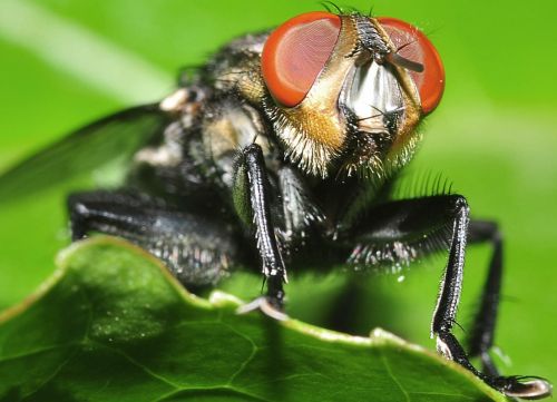 Fotografia de FOTOCICLETA - Galeria Fotografica: FOTOCICLETA - Foto: 