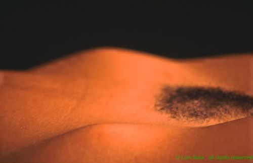 Fotografia de Luis Sala - Galeria Fotografica: Desnudo - Foto: 