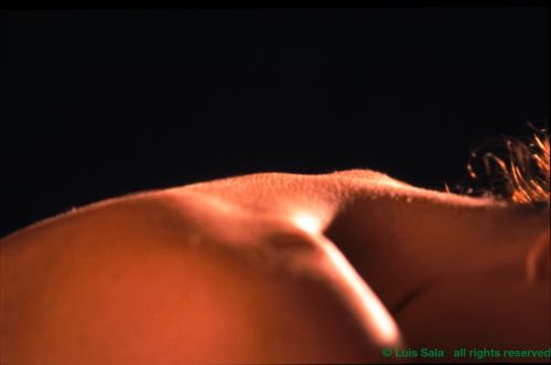 Fotografia de Luis Sala - Galeria Fotografica: Posados - Foto: 