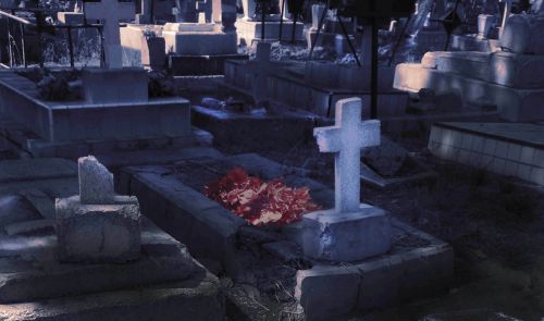 Fotografia de Sergio Loman - Galeria Fotografica: 