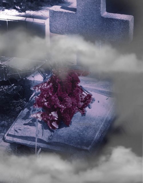 Fotografia de Sergio Loman - Galeria Fotografica: 