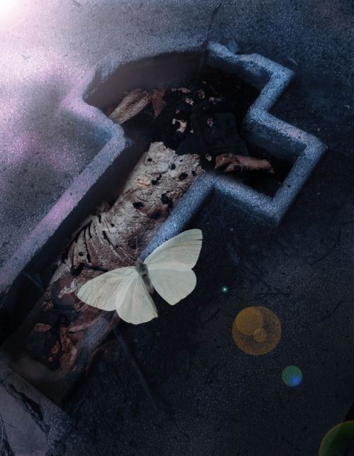 Fotografia de Sergio Loman - Galeria Fotografica: 