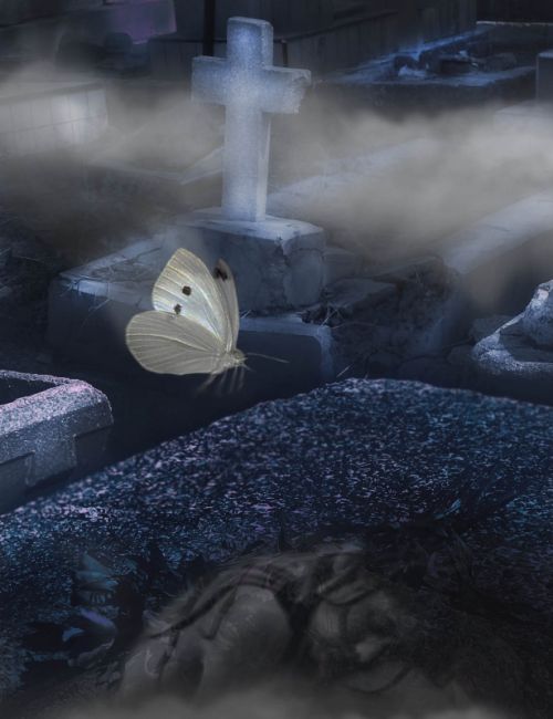 Fotografia de Sergio Loman - Galeria Fotografica: 