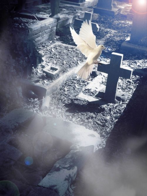 Fotografia de Sergio Loman - Galeria Fotografica: 