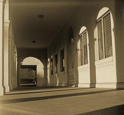 Fotografia de cmvphotos - Galeria Fotografica: Aire Libre - Foto: 