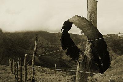 Fotografia de cmvphotos - Galeria Fotografica: Aire Libre - Foto: 