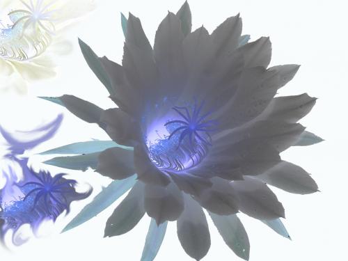 Fotografia de Terrores Nocturnos - Galeria Fotografica: terrores nocturnos - Foto: reflejos