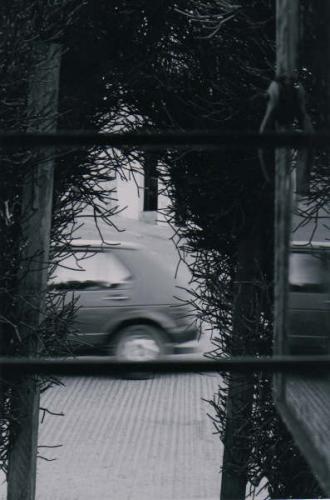 Fotografia de teddy - Galeria Fotografica: amateur - Foto: reflejo