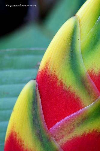 Fotografia de Benjamin Probanza - Galeria Fotografica: SUEOS II - Foto: Diagonal en Amarillo.