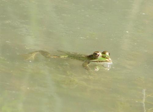 Fotografia de nuri - Galeria Fotografica: varias - Foto: 