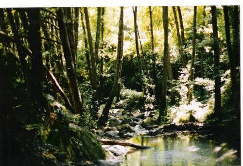 Fotografia de nuri - Galeria Fotografica: varias - Foto: 