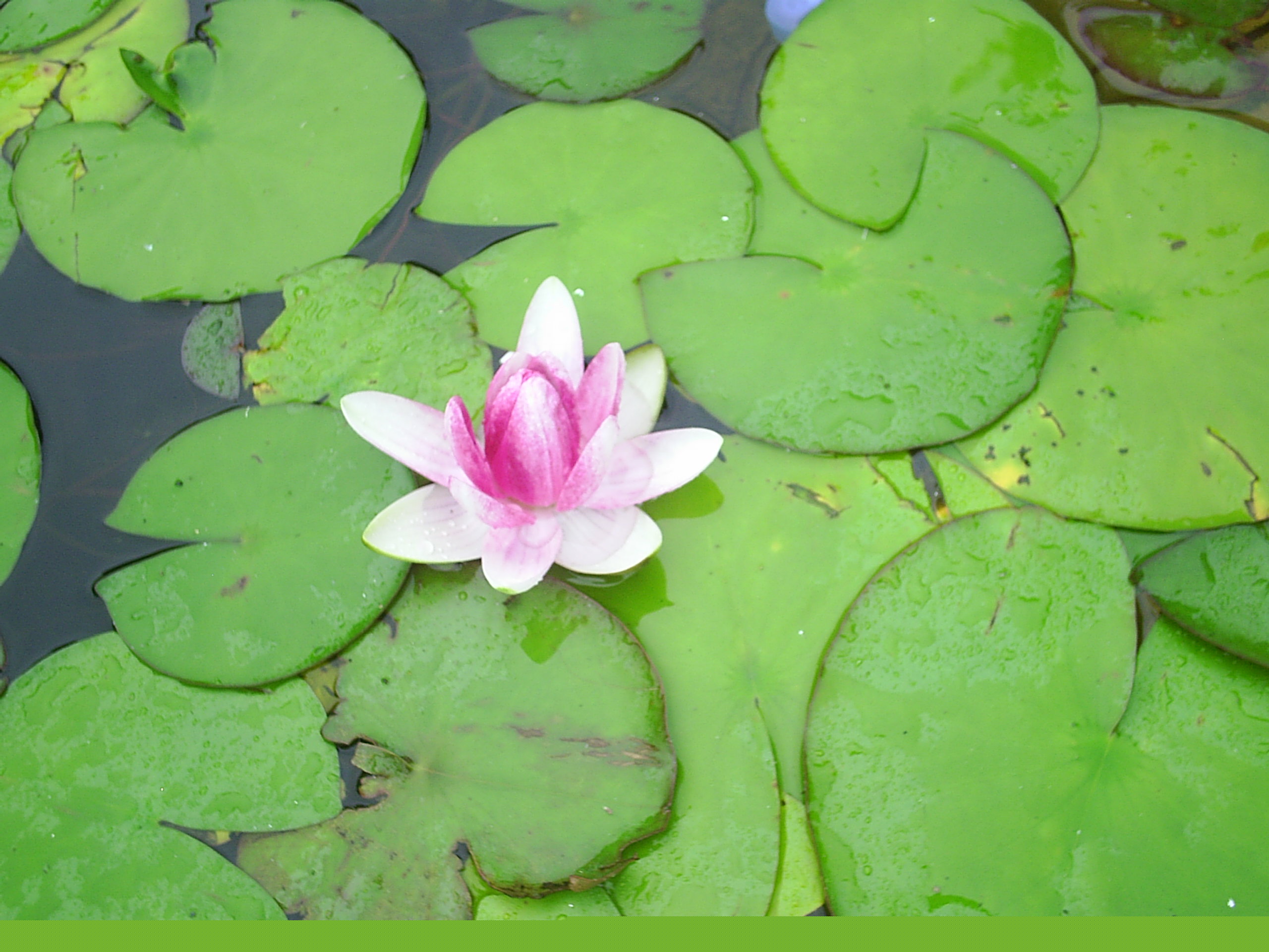 Fotografia de nuri - Galeria Fotografica: varias - Foto: 