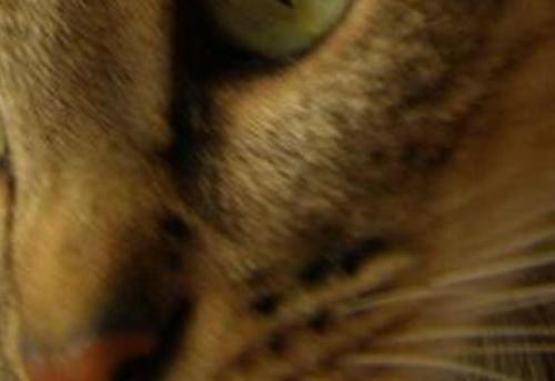 Fotografia de nuri - Galeria Fotografica: varias II - Foto: 