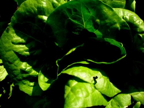 Fotografia de nuri - Galeria Fotografica: varias II - Foto: 