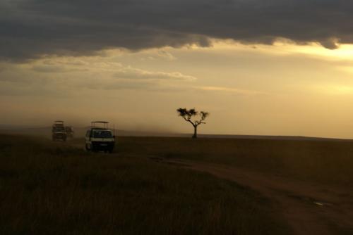 Fotografia de lluis - Galeria Fotografica: kenia - tanzania 2 - Foto: 