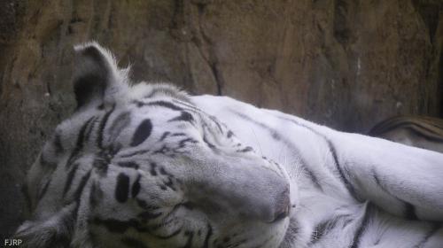 Fotografia de FJRP - Galeria Fotografica: Naturaleza - Foto: 