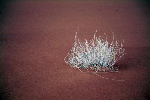 Fotografia de egogeoasis - Galeria Fotografica: probando marruecos - Foto: SOLA