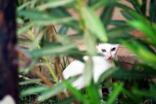 Fotografia de egogeoasis - Galeria Fotografica: probando marruecos - Foto: 