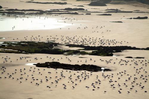 Fotografia de egogeoasis - Galeria Fotografica: probando marruecos - Foto: A LA ESPERA