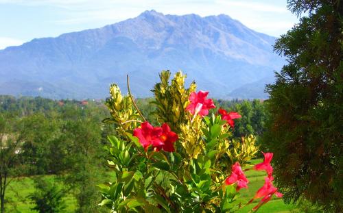 Fotografia de Gera - Galeria Fotografica: Mis fotos - Foto: 