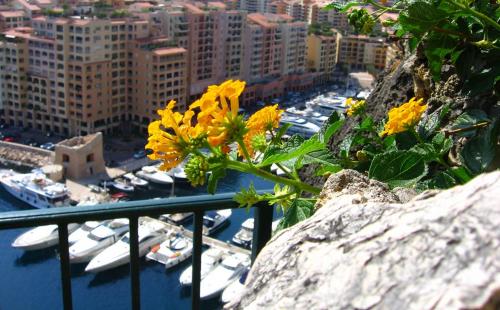 Fotografia de Gera - Galeria Fotografica: Mis fotos - Foto: 