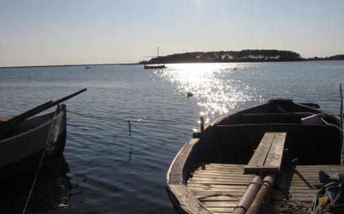 Fotografia de Gera - Galeria Fotografica: Mis fotos - Foto: 