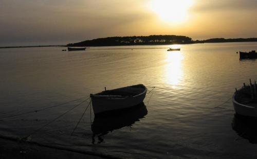 Fotografia de Gera - Galeria Fotografica: Mis fotos - Foto: 