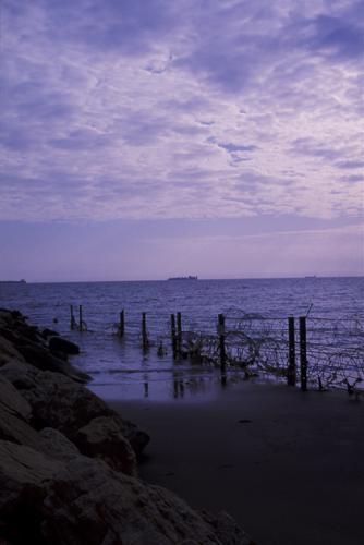 Fotografia de Pablo Perez Rojas - Galeria Fotografica: Momentos - Foto: Rota separada