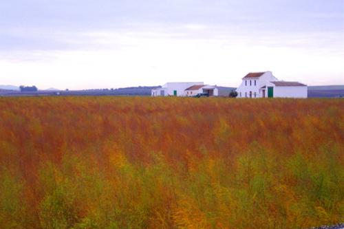Fotografia de Pablo Perez Rojas - Galeria Fotografica: Momentos - Foto: Casa de campo