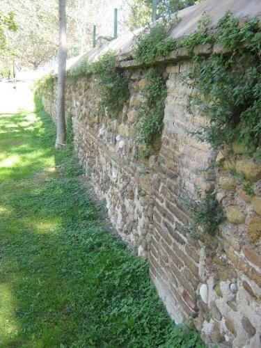 Fotografia de arboleo - Galeria Fotografica: pasos por el parque - Foto: muro a la uz