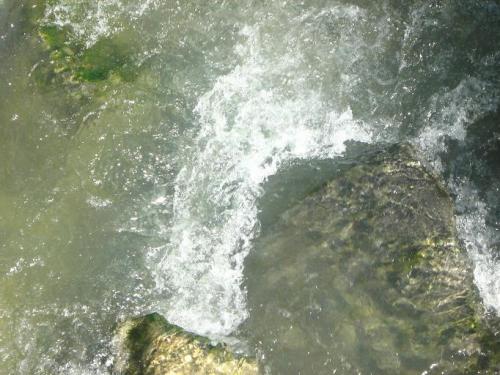 Fotografia de arboleo - Galeria Fotografica: pasos por el parque - Foto: aguas