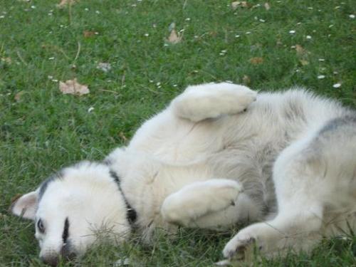 Fotografia de arboleo - Galeria Fotografica: pasos por el parque - Foto: 